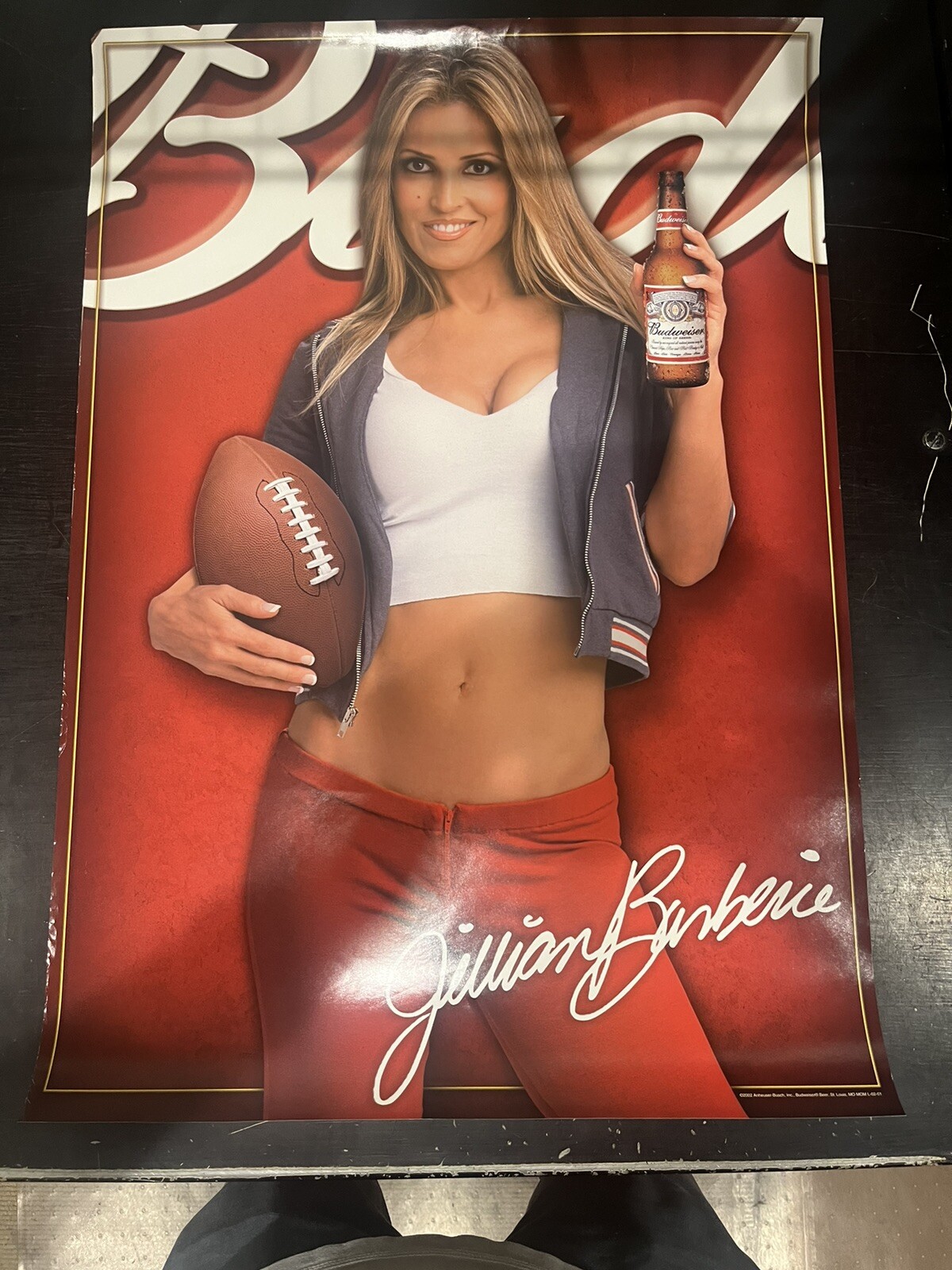 NOS 2002 Budweiser Football  Sexy Jillian Barberie Poster