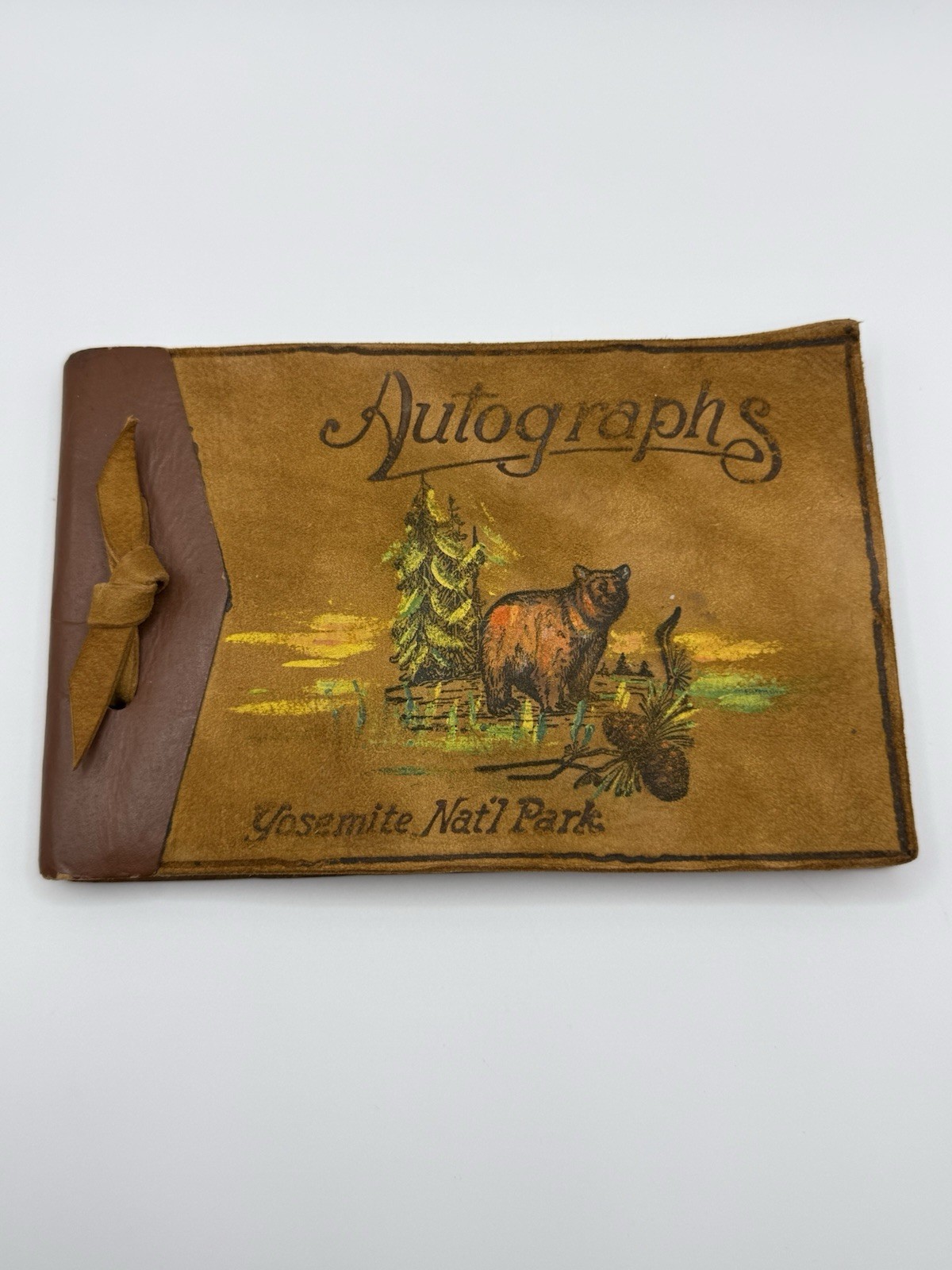 Vtg 1949 Painted Leather Suede Yosemite National Park Autographs Book Pinecone 
