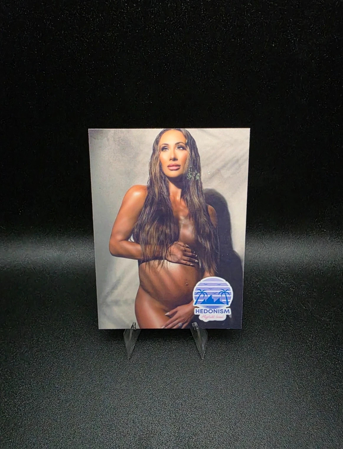 Leah Van Dale #2 Hedonism Series eXcess Collectibles Custom Card