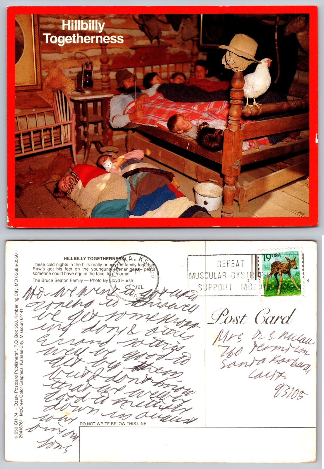 Continental Hillbilly Togetherness Postcard