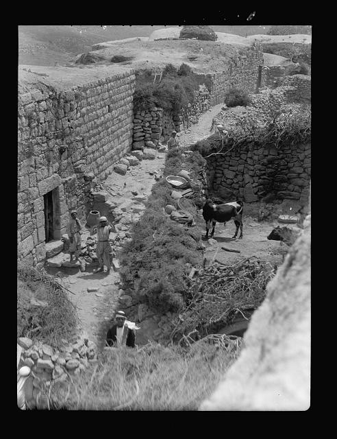 Photo:Bethel West Bank 1934 Excavations Ancient Ruins Donkey Men Smith?