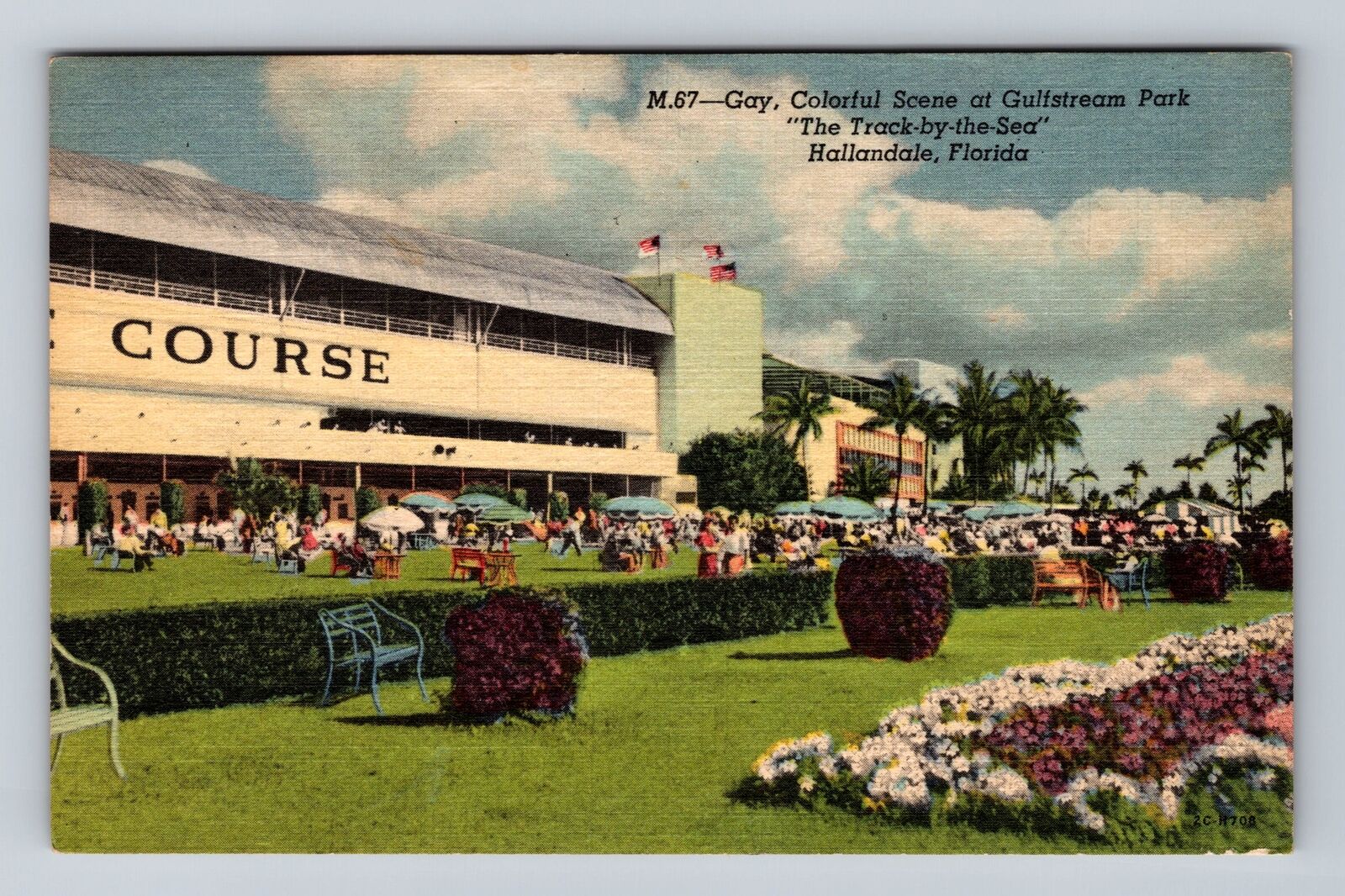 Hallandale FL-Florida, Gulfstream Park, Track by the Sea Vintage Postcard