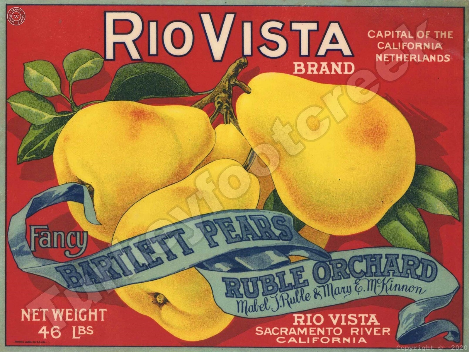 Rio Vista Brand Bartlett Pears Label 9