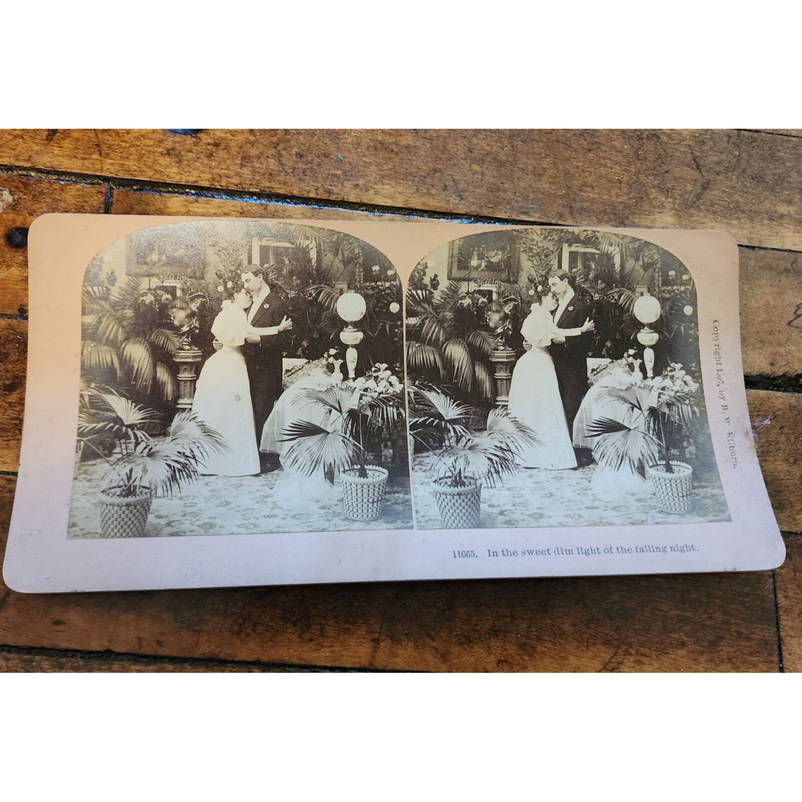 Antique 1897 B.W. Kilburn Stereoview In The Sweet Dim Light Of The Falling Night