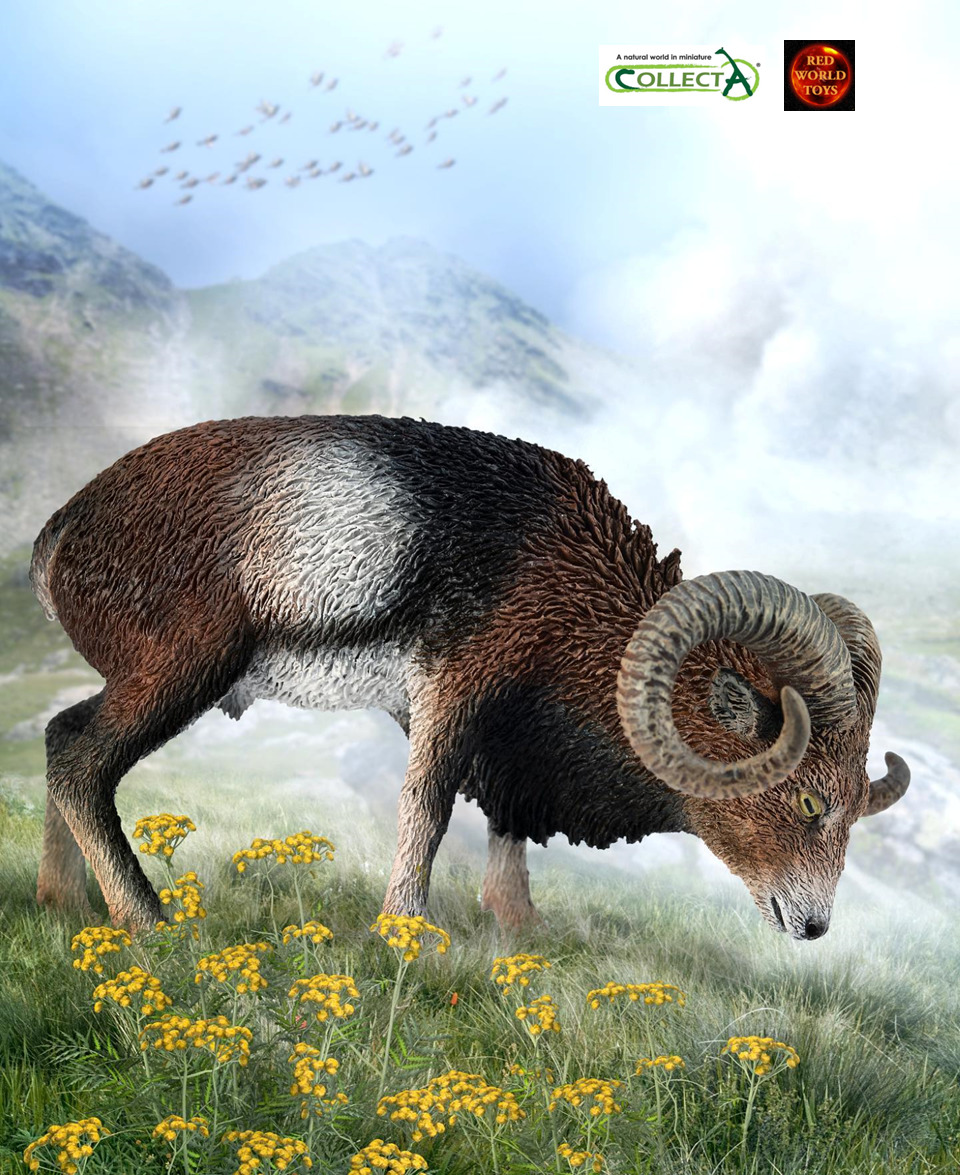 European Mouflon Mountain Sheep with horns Toy Model Figure CollectA 88682 New