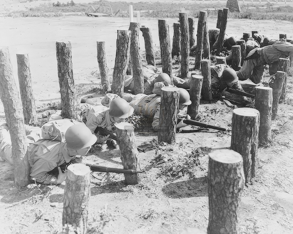 Camp Edwards MA Asparagus Patch 8x10 Glossy Photo Print WWII HT4136294