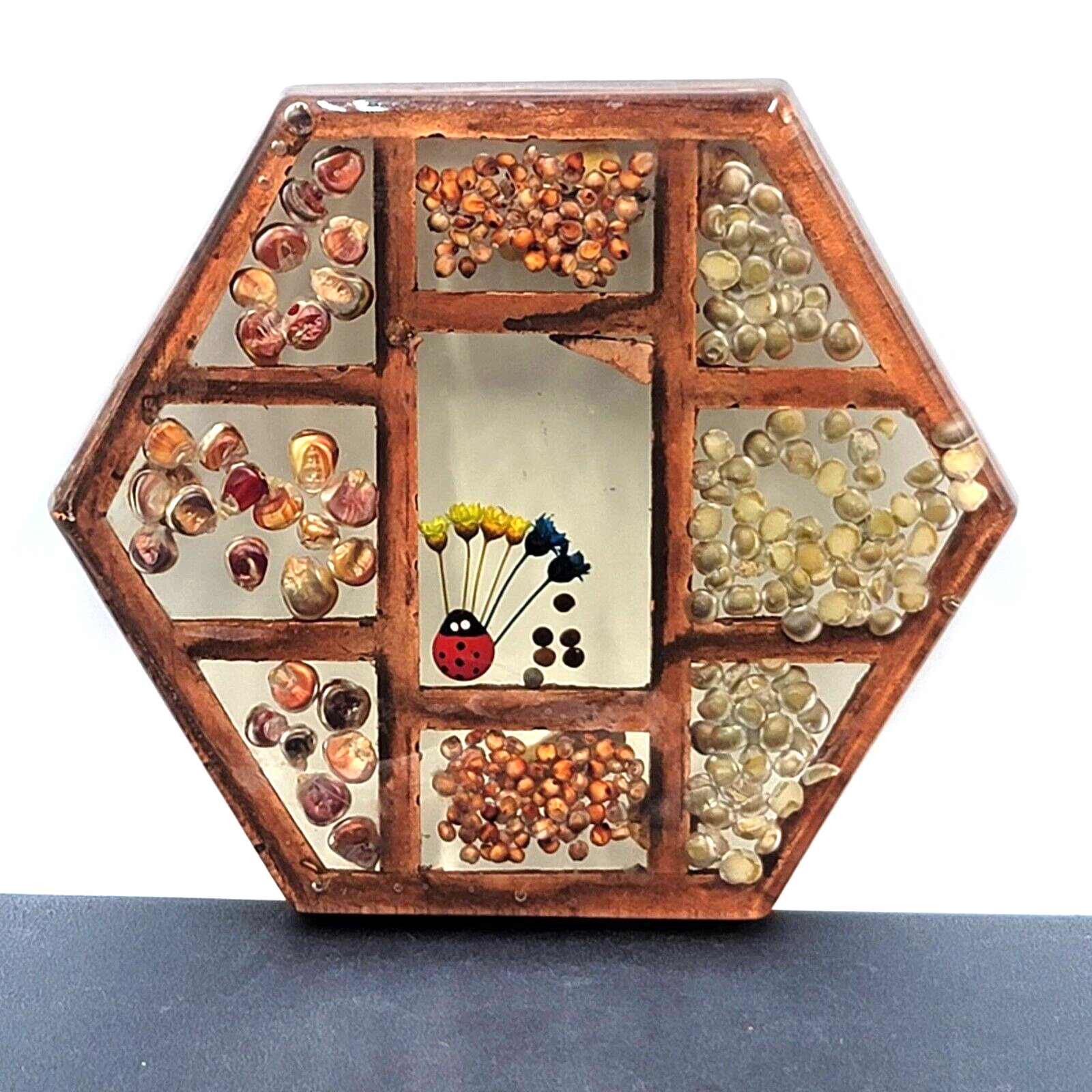 Vintage Gamut Designs Trivet Dried Flowers Seeds Boho Mid Century Hexagon 5.5