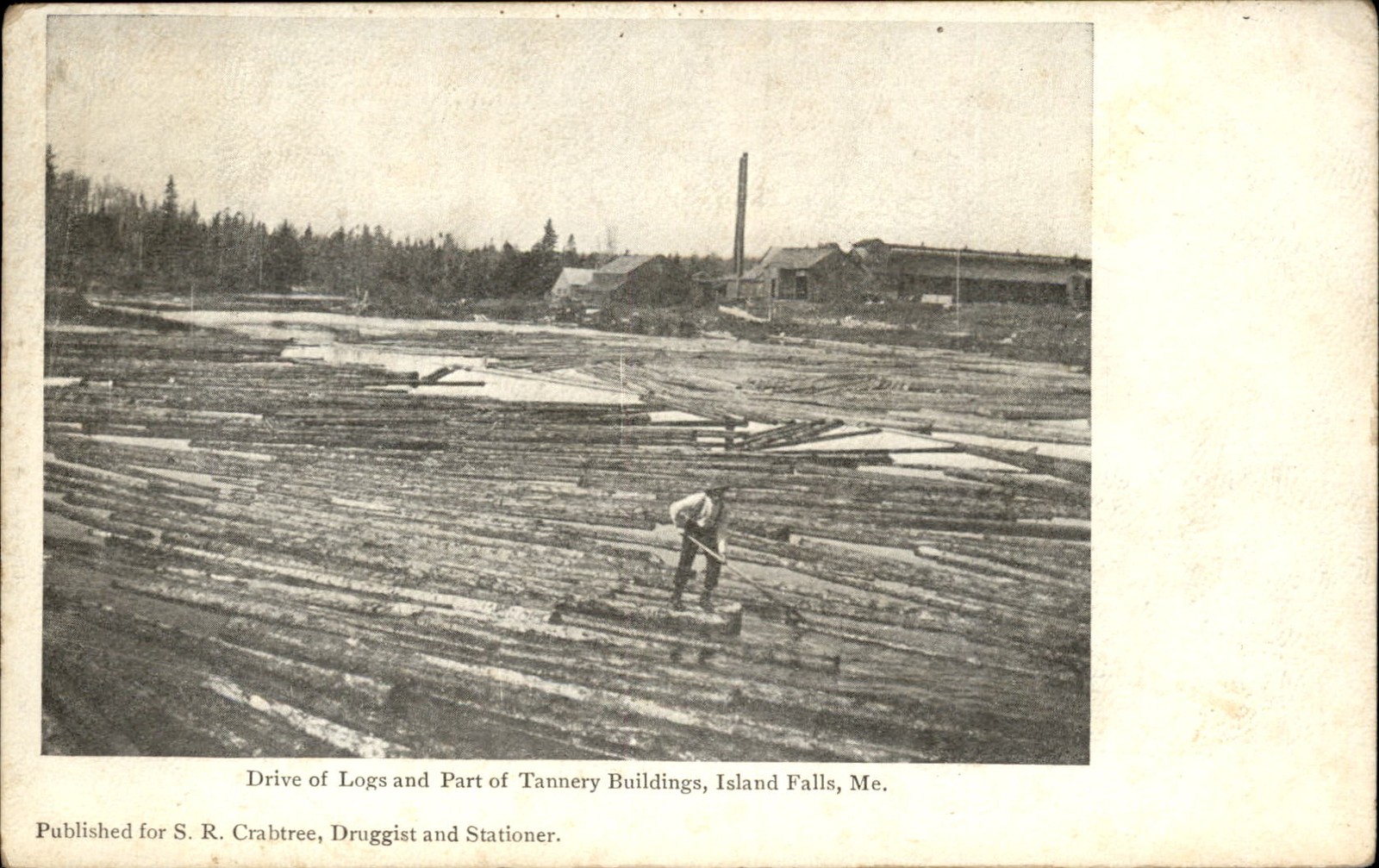 Island Falls ME Drive of Logs c1900s-10s Vintage Postcard