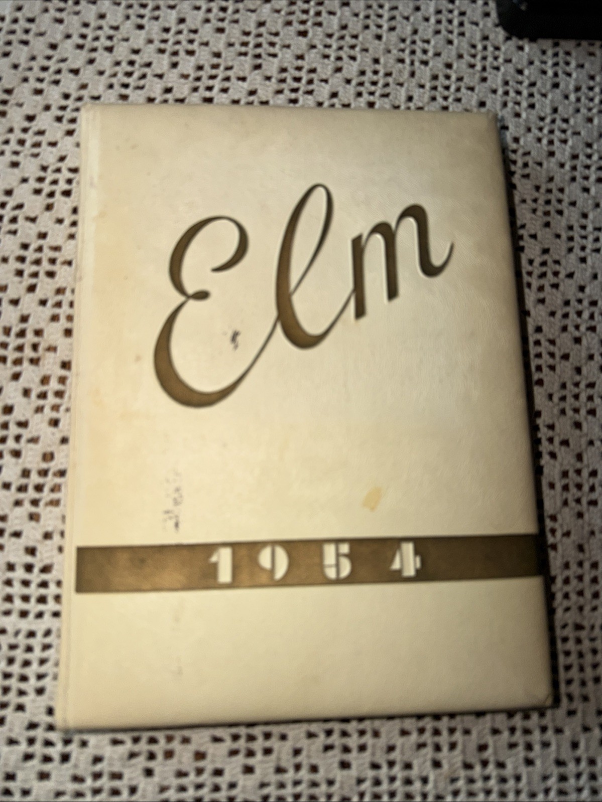 1954 The Elm San Mateo High School California Yearbook