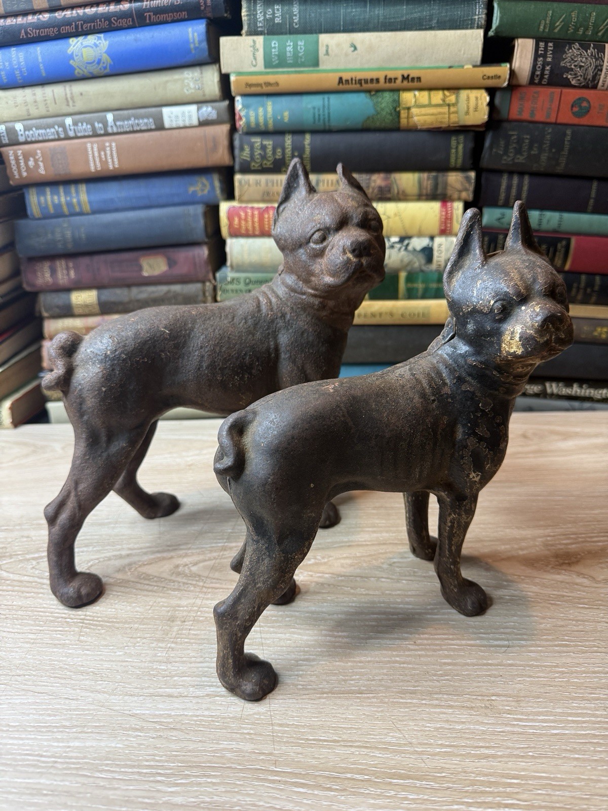 Cast Iron Boston Terrier Dog Doorstop Pair 1 Puppy 1 Larger Size