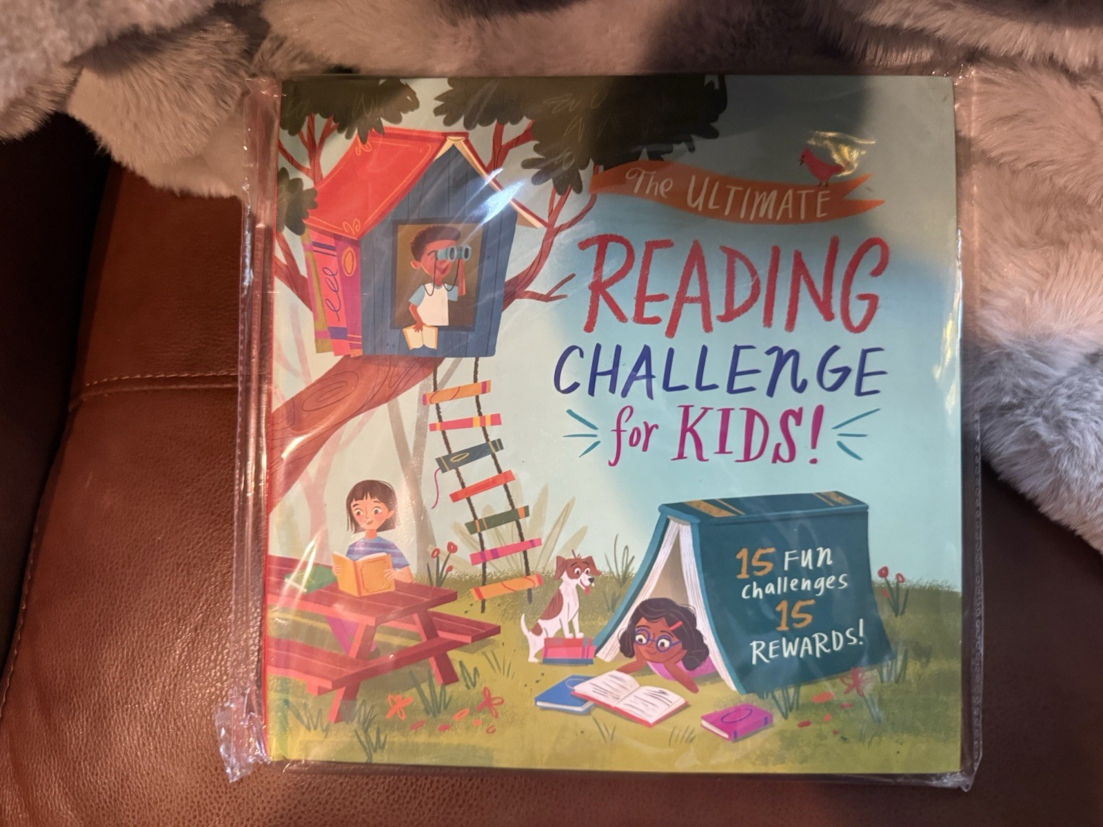 The Ultimate Reading Challenge for Kids: Complete a Goal, Open an Envelope