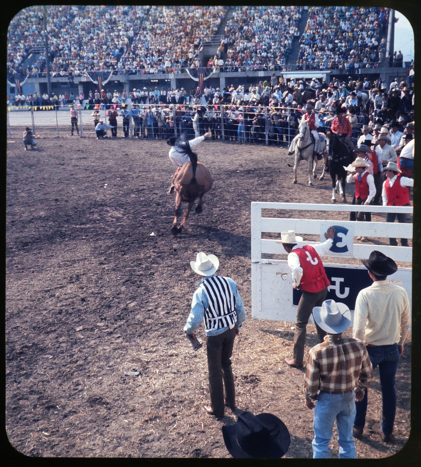 Rodeo Cowboy riding bucking bronco- 1958 Stereo Realist slide Kodachrome #554
