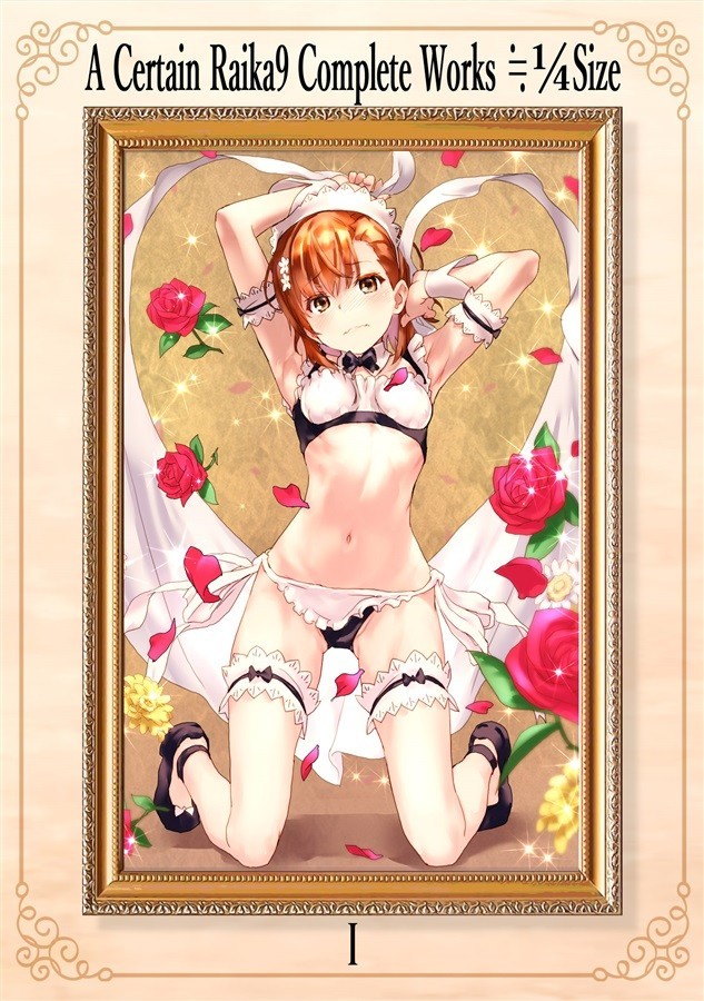 Certain scientific railgun Raika9 Complete Works ≒1/4Size 1/2 misaka mikoto