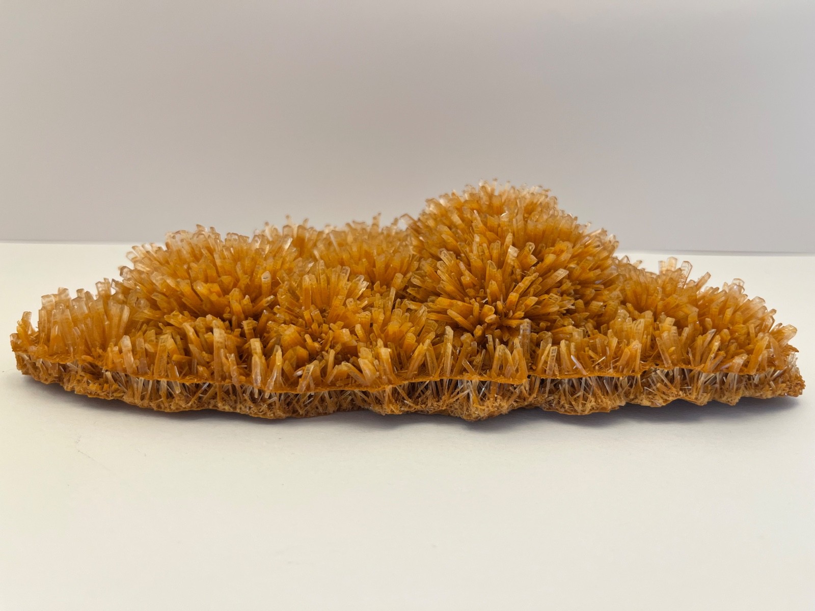 Large Gorgeous Bladed Selenite Gypsum from Whyalla, Eyre Peninsula, Australia