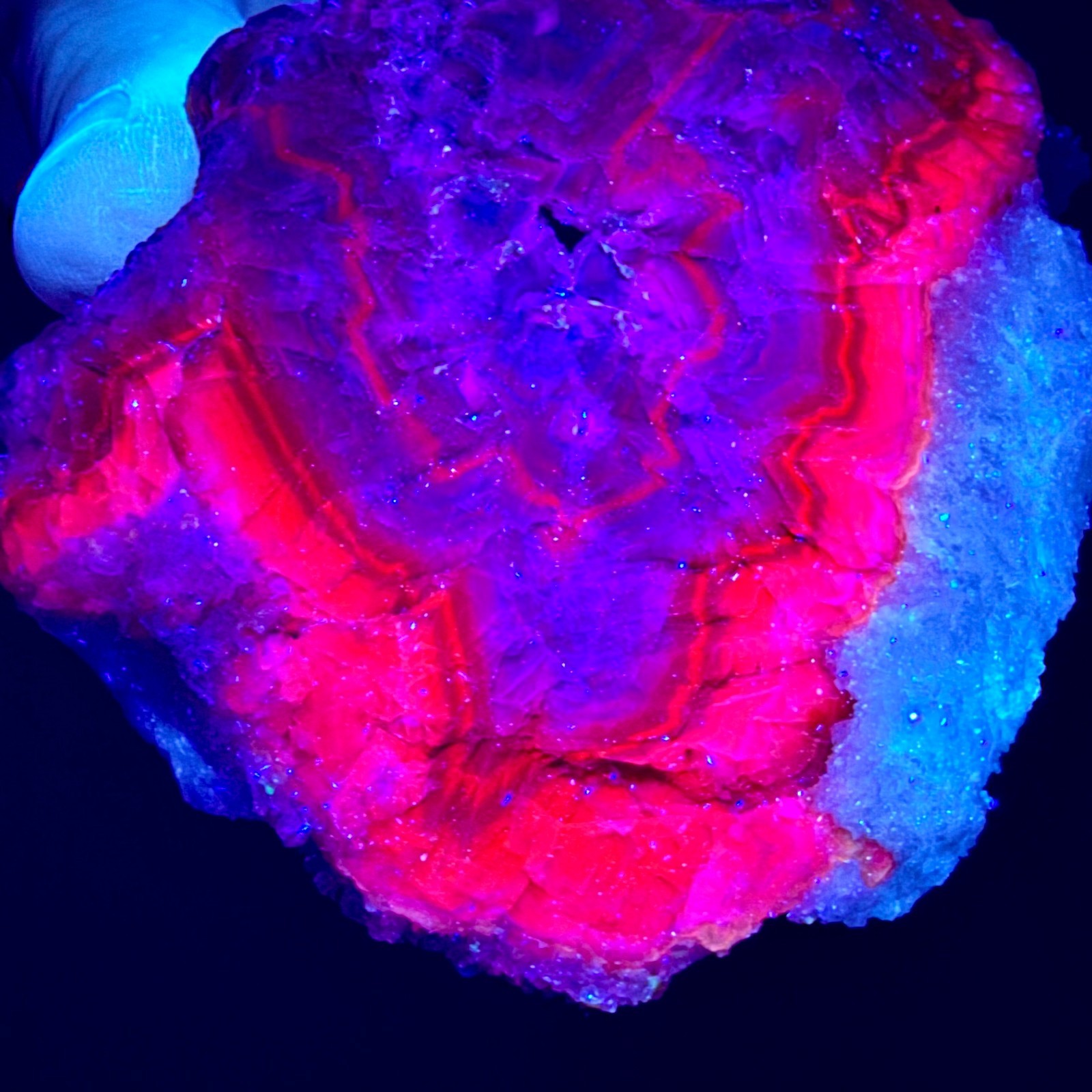 Black Tea Rose Fluorite Selenite Cluster Pakistan UV Fluorescent with Stand 426g