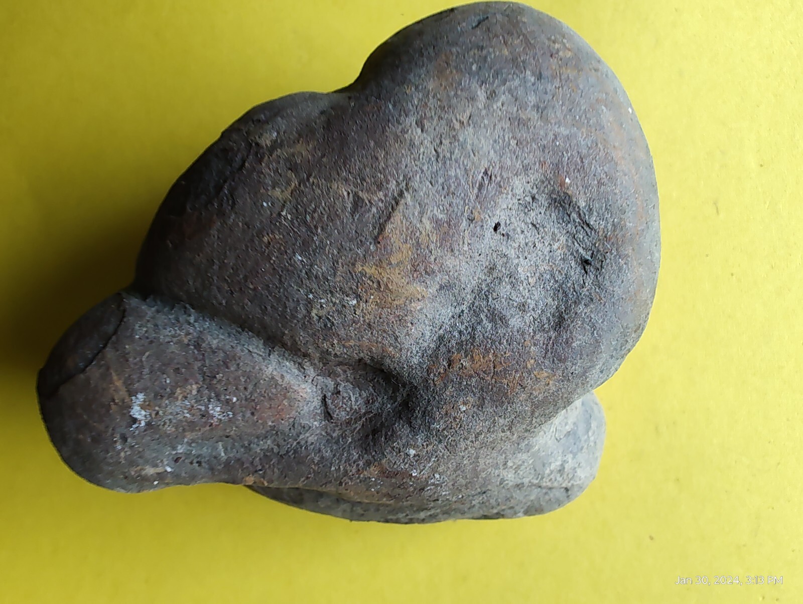 Prehistoric Feces Dinosaur Dung Poop crap Dino turd 265 gram 🦕