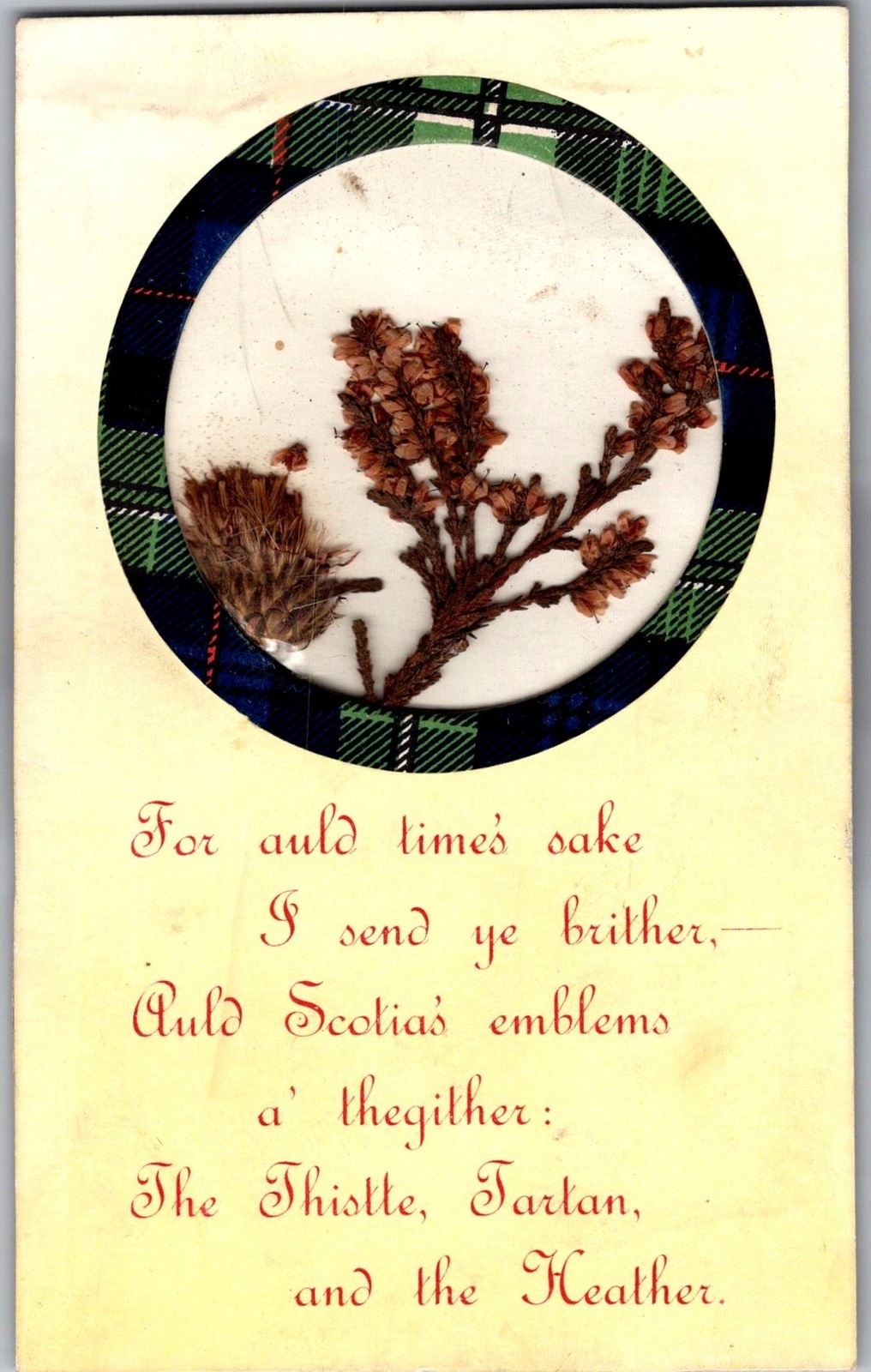 Scottish Thistle Heather Tartan For Auld Time's Sake Vintage Postcard 4P23-9