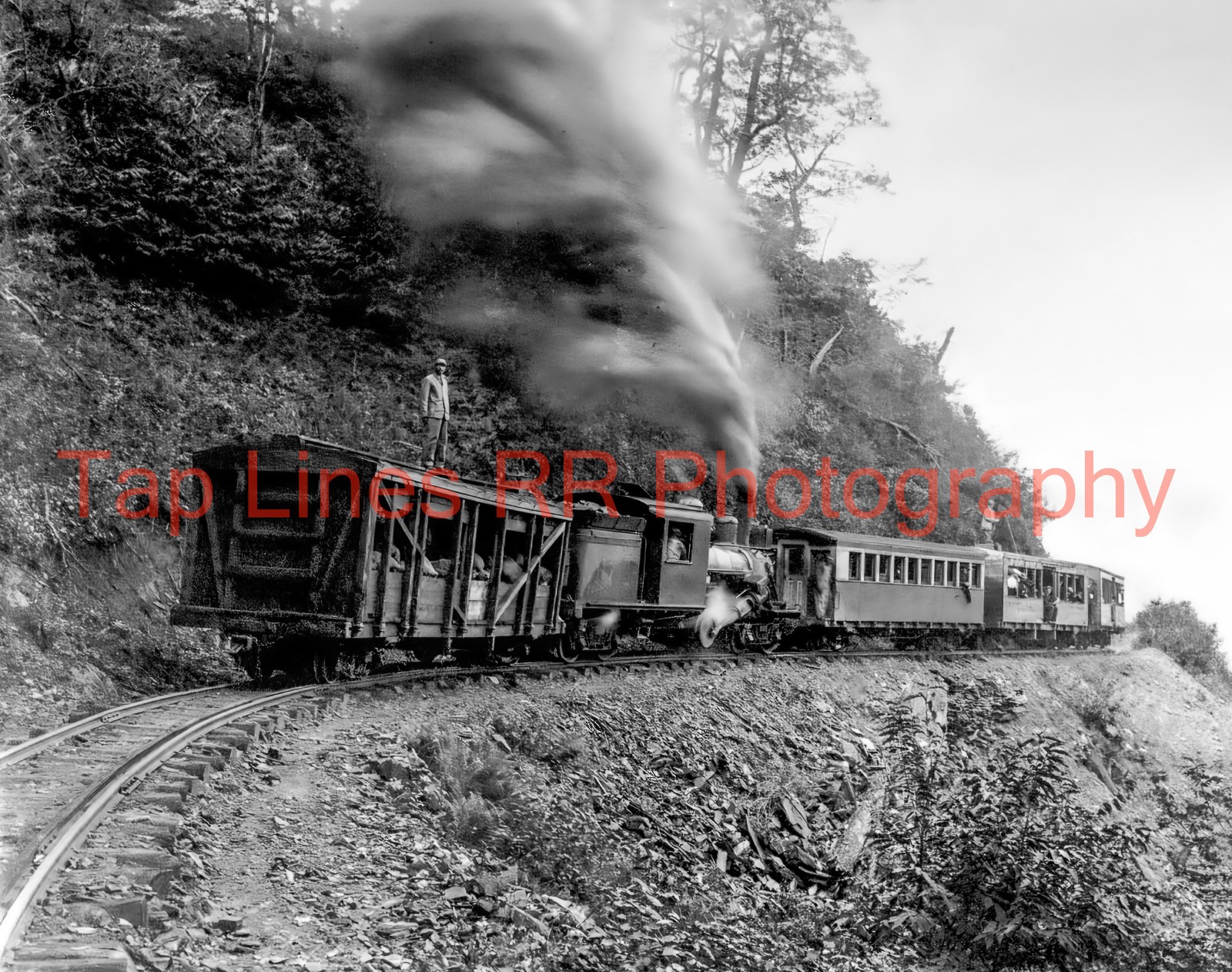 Mount Mitchell RR Narrow Gauge Excursion 3' Gauge NC NEW 8x10 PHOTO
