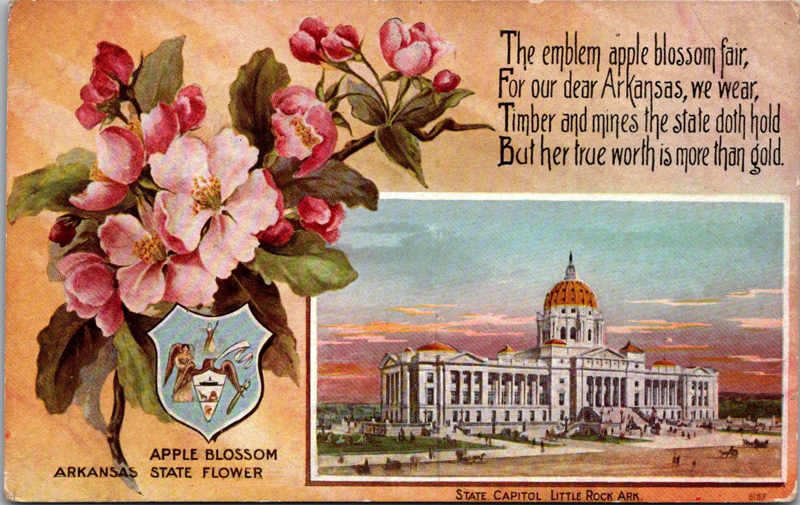 Little Rock Arkansas State Capitol Apple Blossom Vintage Postcard 4P23-24
