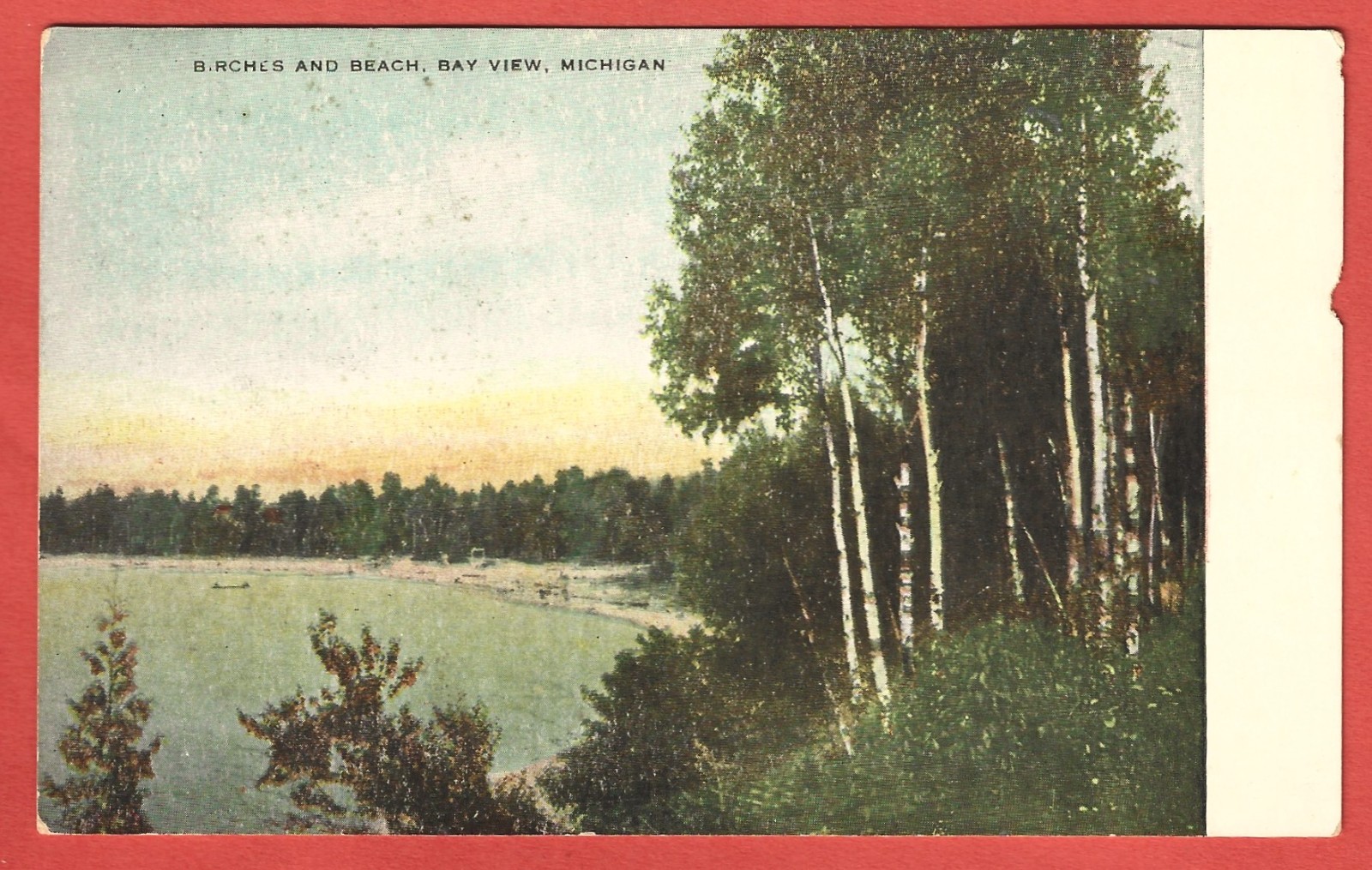 BAY VIEW, MICHIGAN – BIRCHES AND BEACH – c. 1911 Postcard-Pub. by Alton G. Cook