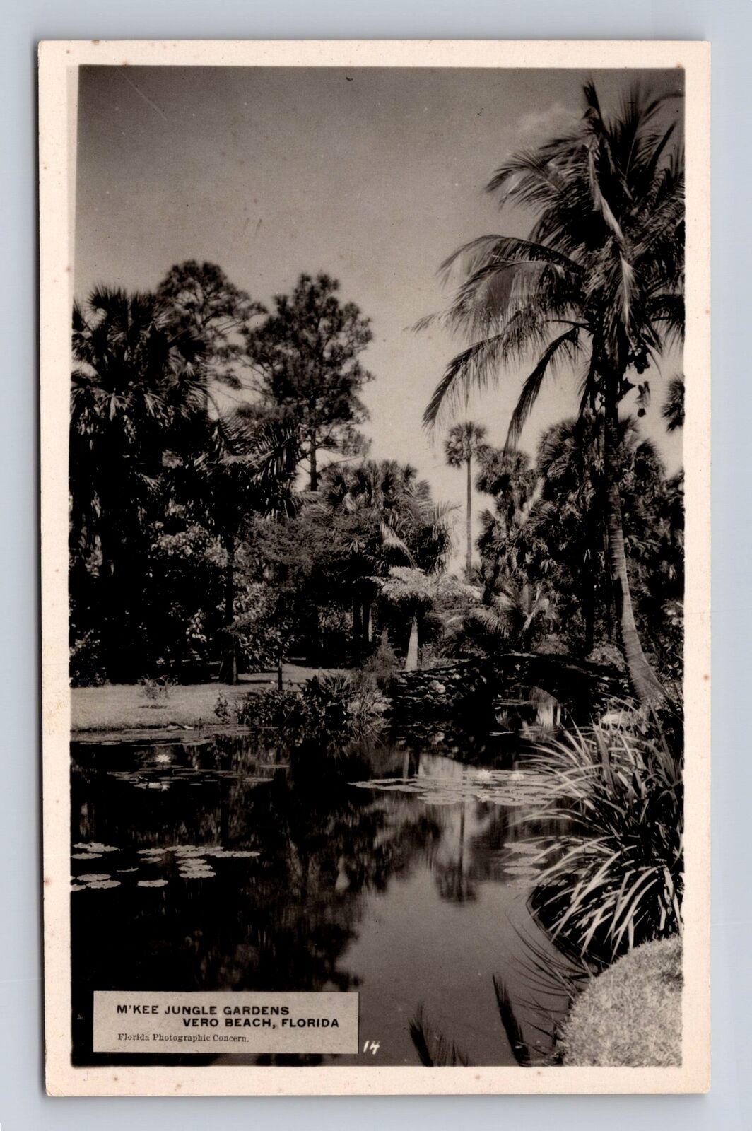 Vero Beach FL-Florida, M'Kee Jungle Gardens, Antique Vintage Souvenir Postcard