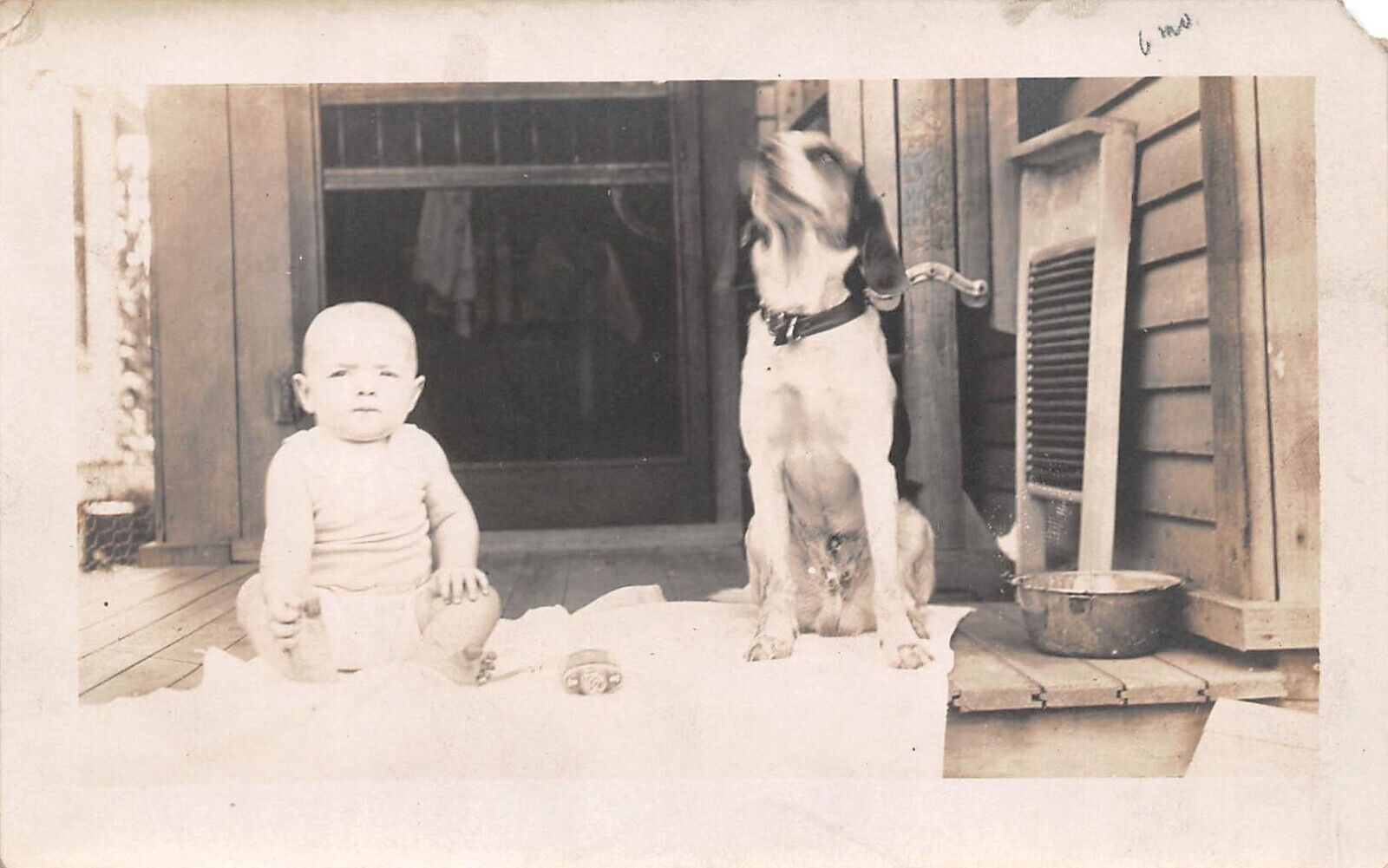 RPPC Baby Aline on Porch With Her Hound Dog Companion c1910 AZO Photo Postcard
