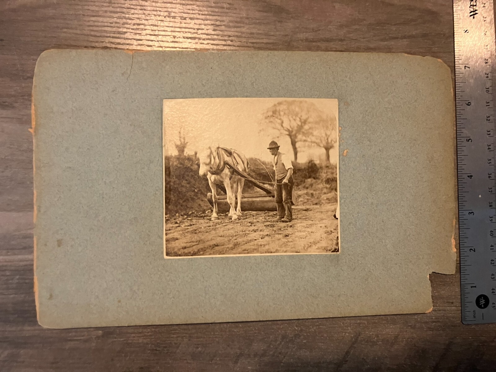 Vintage Original Charles Henry Miller Photograph of Plowing Farmer
