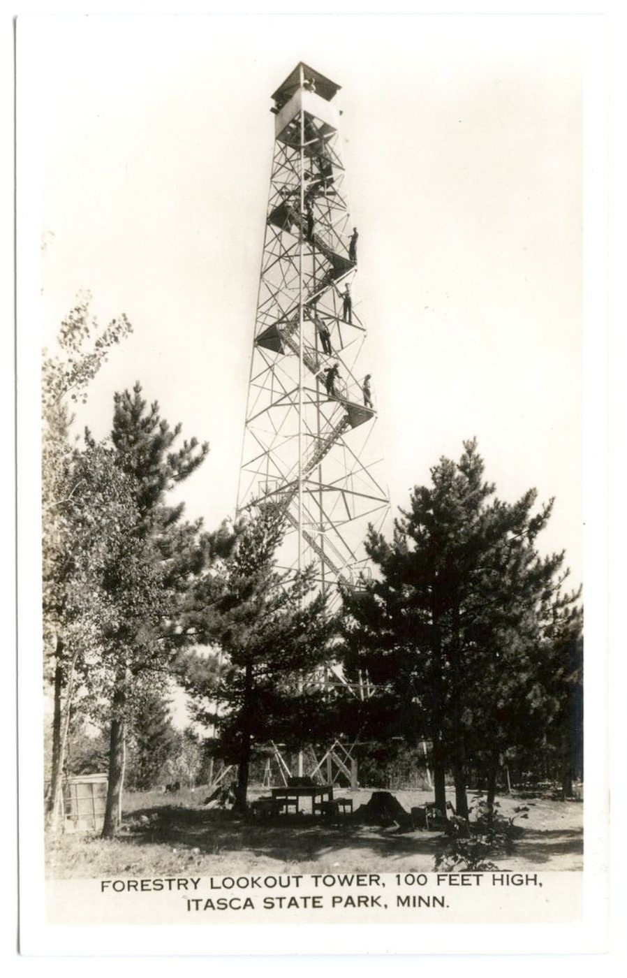 Postcard RPPC Forestry Lookout Tower Itasca State Park Minnesota