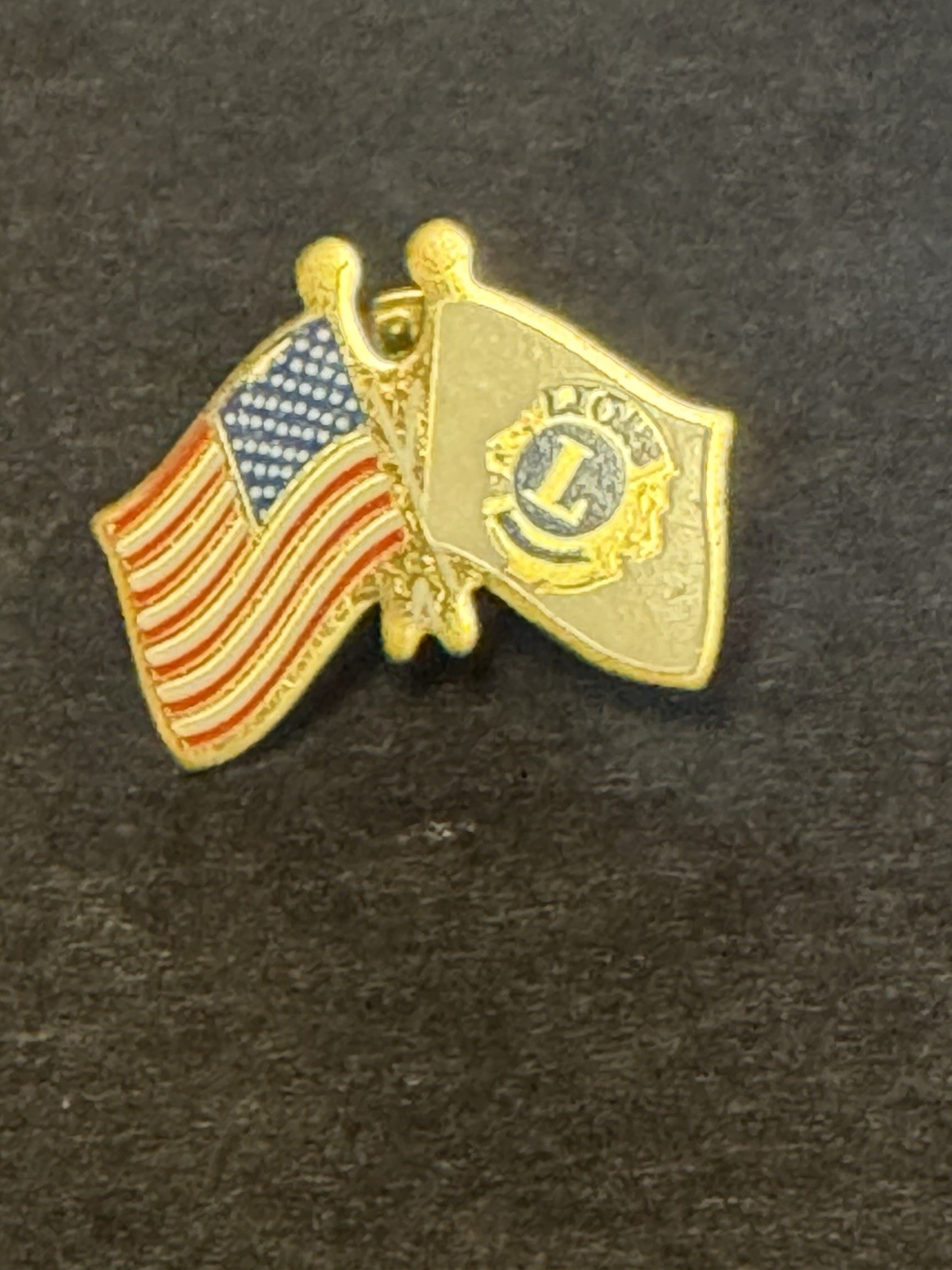 Vintage Lions Club Lapel Pin Collector EUC American