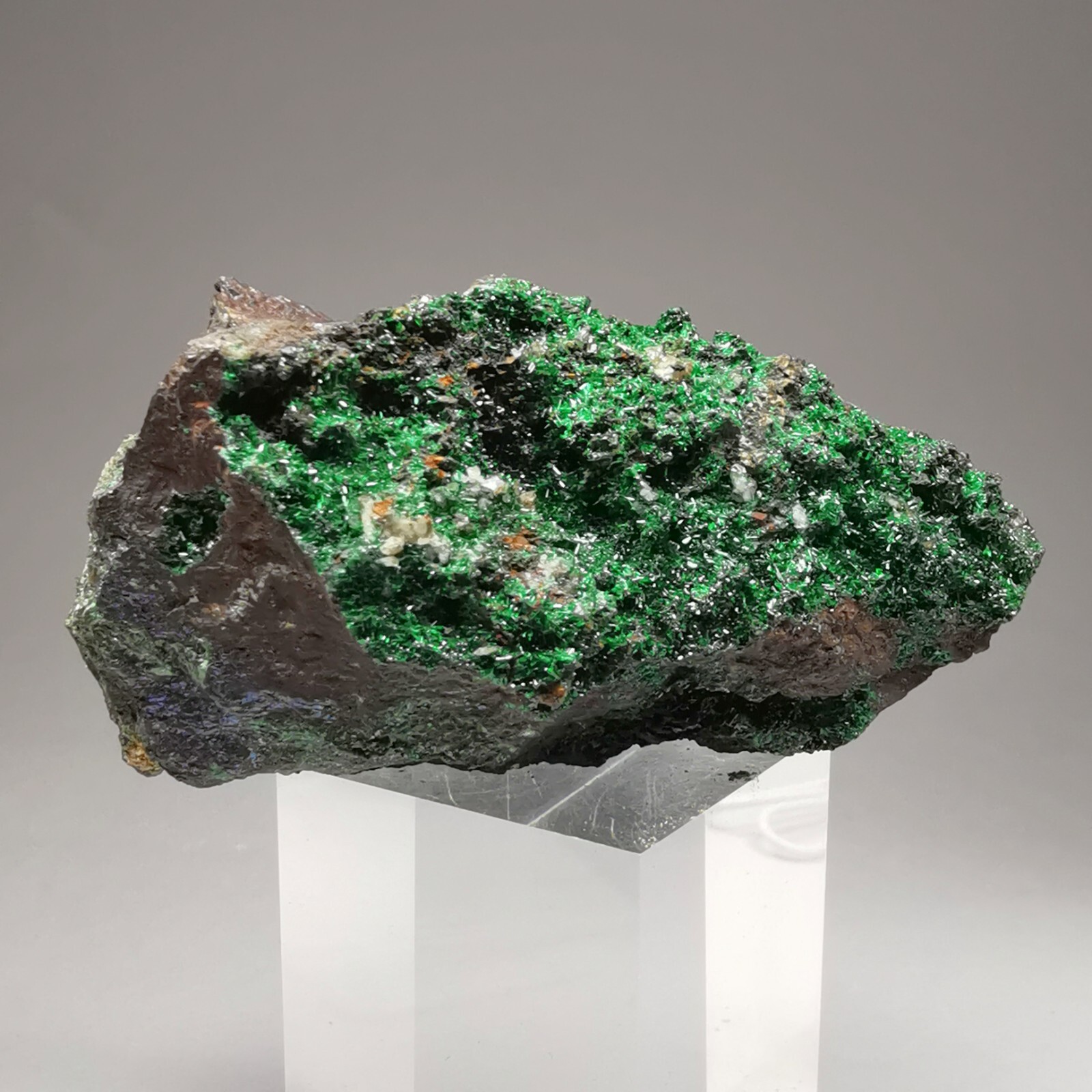 121.7 g RARE Brochantite w. Matrix / Bou Beker, Morocco / Rough Crystal Gemstone