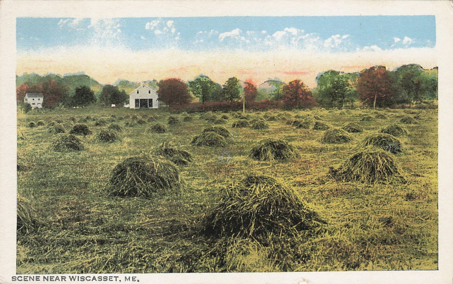 Wiscasset Maine Hay Field Farm Rural Scene Early 1900s Postcard