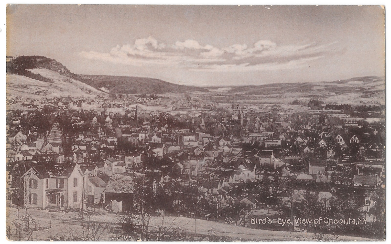 Bird's Eye View of Oneonta NY New York c1910 Printed Germany Postcard