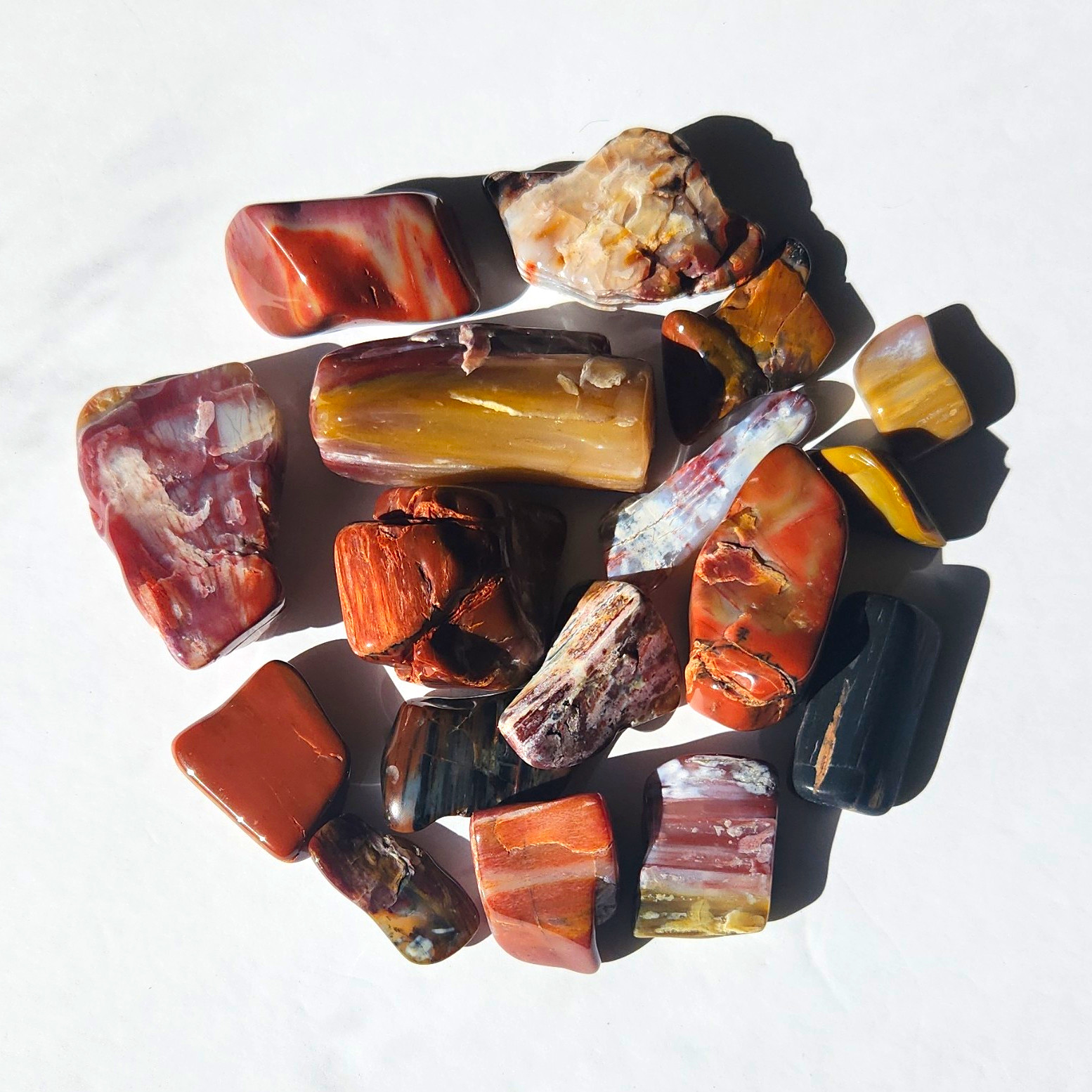 Perfect Wood Tumbled Holbrook Arizona 2.03 Pounds Perfect Wood Tumbled Holbrook Arizona 2.03 Pounds
