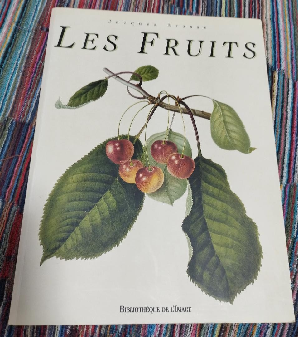 Les Fruits French Fruit Miniature Paintings