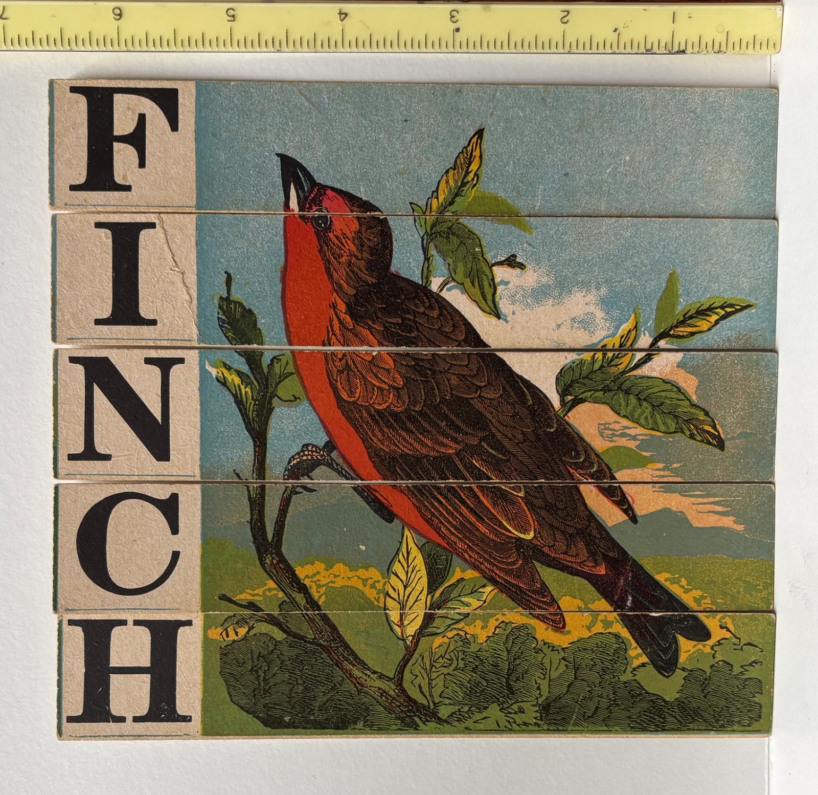 1880’S VICTORIAN DISSECTED SLAT PUZZLE SPELLS FINCH~BIRD ON TREE BRANCH