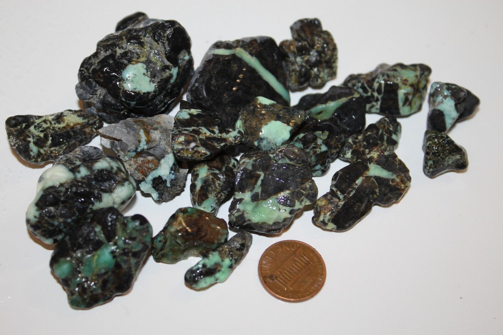 Lander County Bluish/Green Turquoise in Black Matrix 181g MADE IN the USA Nevada