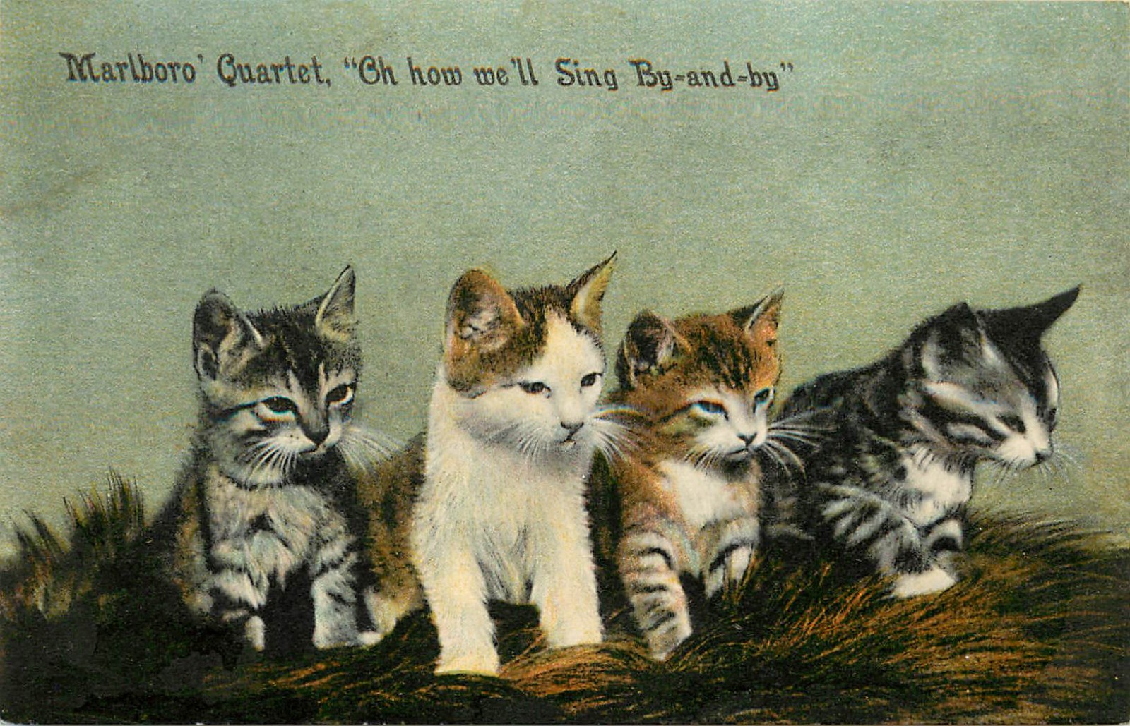 Cat Postcard Marlboro Quartet Oh How We'll Sing Orange & Gray Tabby Kittens 8026