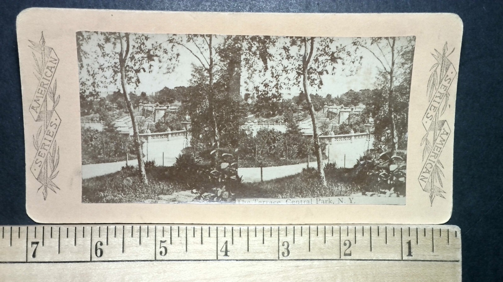 The Terrace Central Park New York City Stereoview American Series 1870s NYC The Terrace Central Park New York City Stereoview American Series 1870s NYC