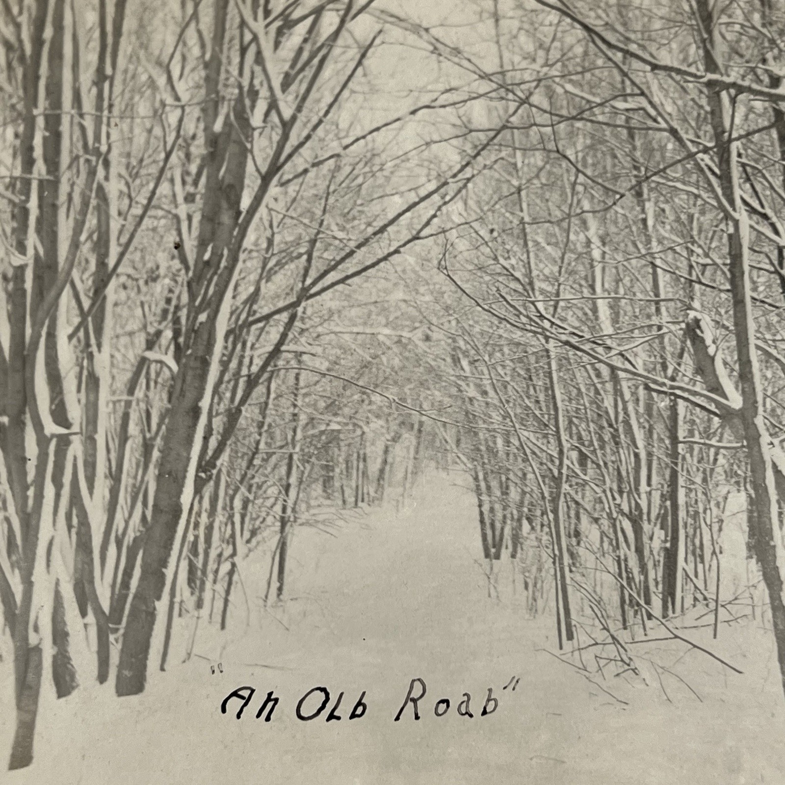 Antique RPPC Real Photograph Postcard Old Road Covered In Snow Woods