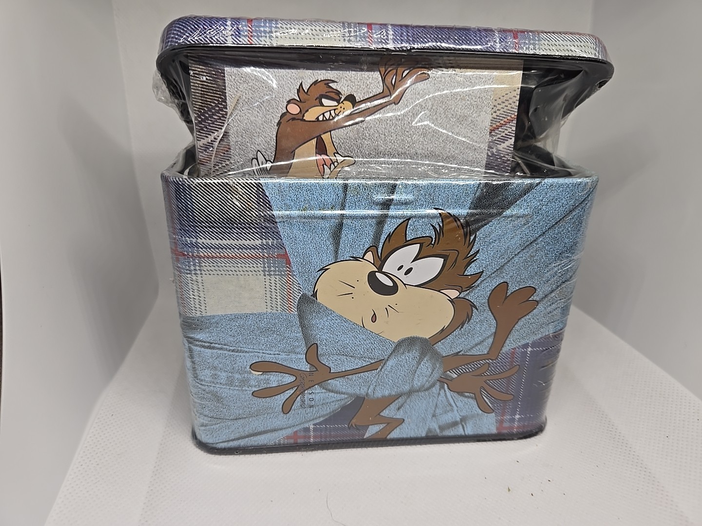 Vintage 1995 Looney Tunes Blues TAZ Tasmanian Devil Stationery Tin Warner Bros