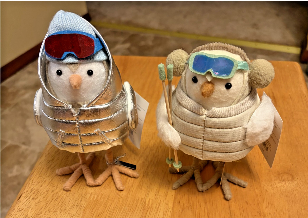 Target Wondershop Featherly Skiing Friends Chill & Ray Winter Birds 2026 Target Wondershop Featherly Skiing Friends Chill & Ray Winter Birds 2026