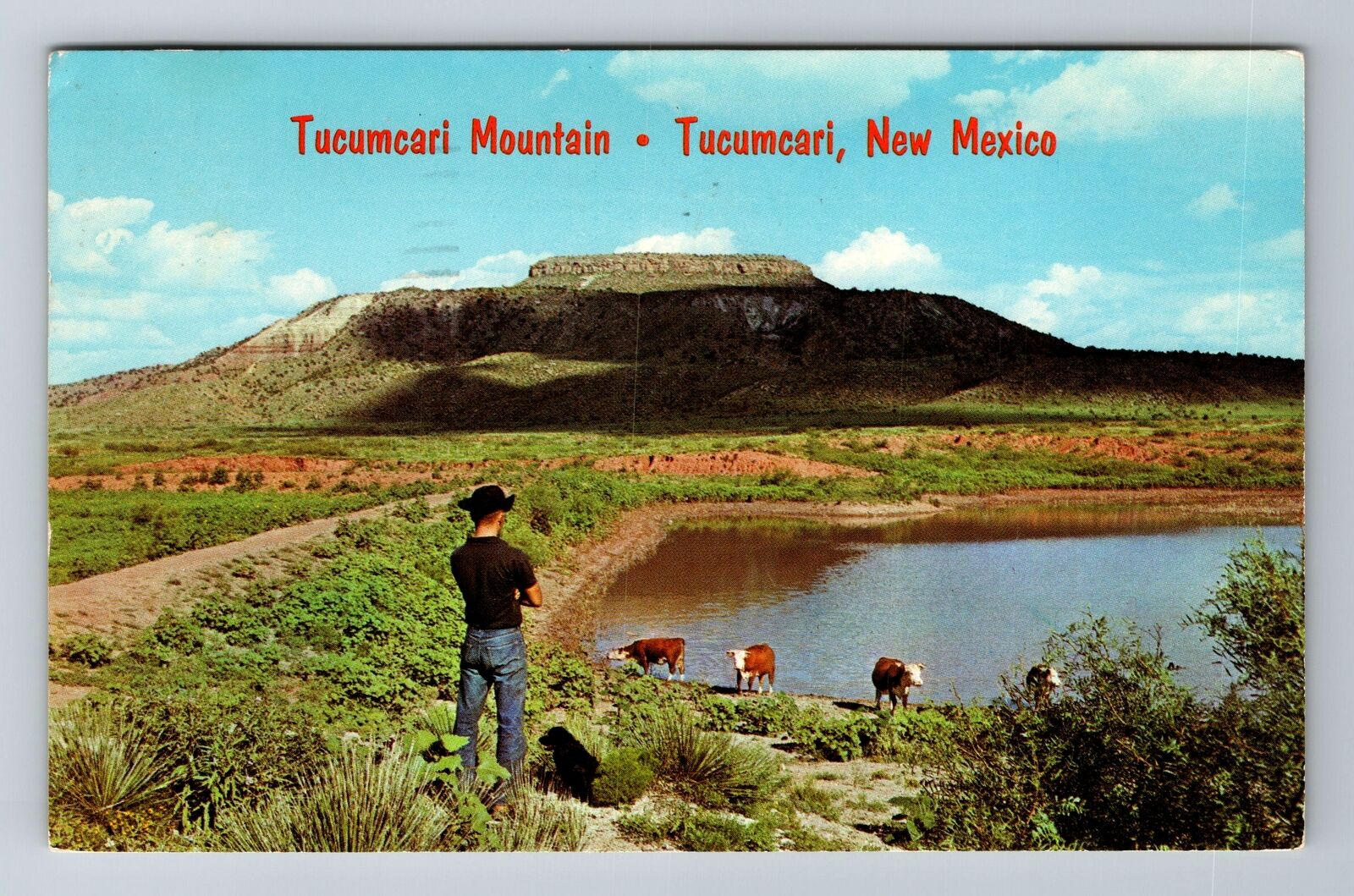 Tucumcari NM-New Mexico, Tucumcari Mountain, c1967 Antique Vintage Postcard