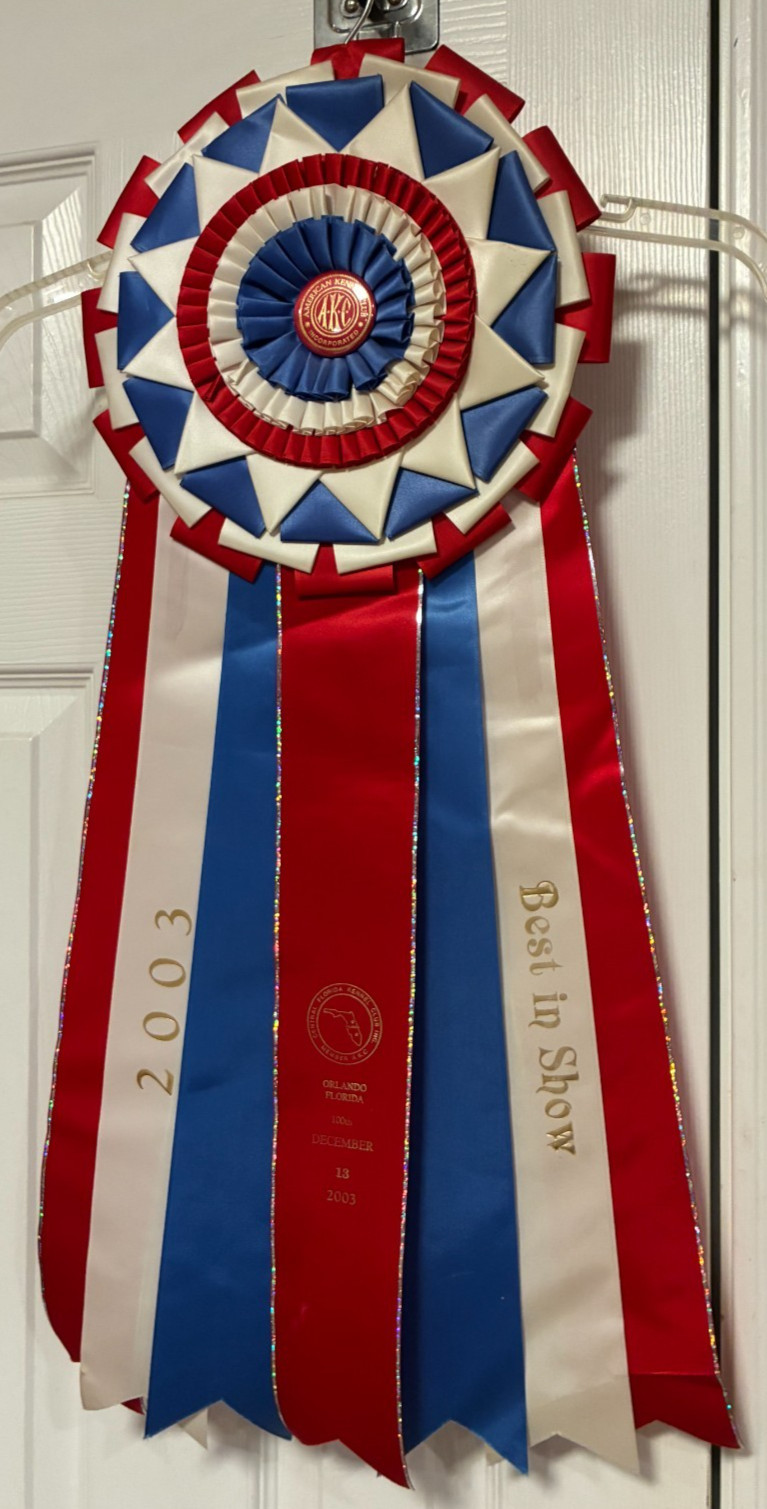 VINTAGE AMERICAN KENNEL CLUB AKC BEST IN SHOW RIBBON ROSETTE 28 