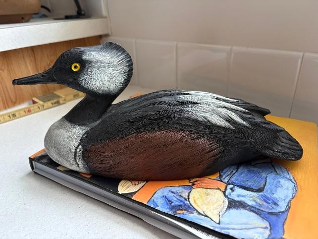 Robbie Robinson Merganser Decoy
