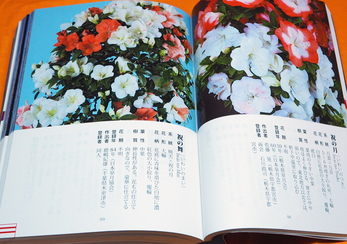 RHODODENDRON INDICUM PICTORIAL BOOK OF THE 1000 VARIETIES OF SATSUKI Japan #1081