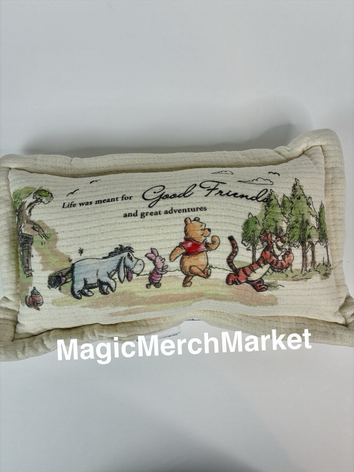 2026 Disney Parks Winnie The Pooh Piglet Tiger Eeyore Friends Throw Pillow