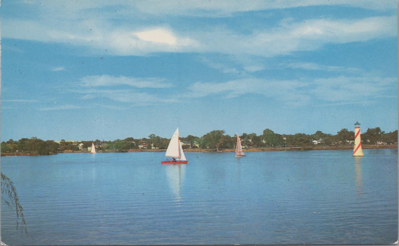 Postcard Woodlawn Lake San Antonio Texas TX 