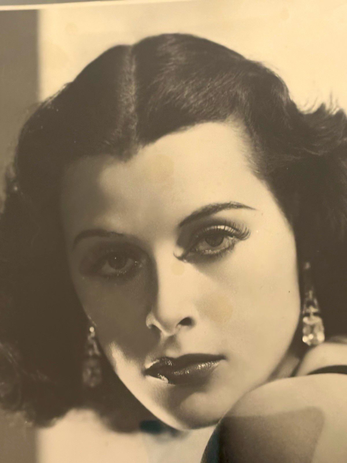 Hedy Lamarr RARE  10X13 Double Weight Stamped COBURN ON Back Sexy Image WOW