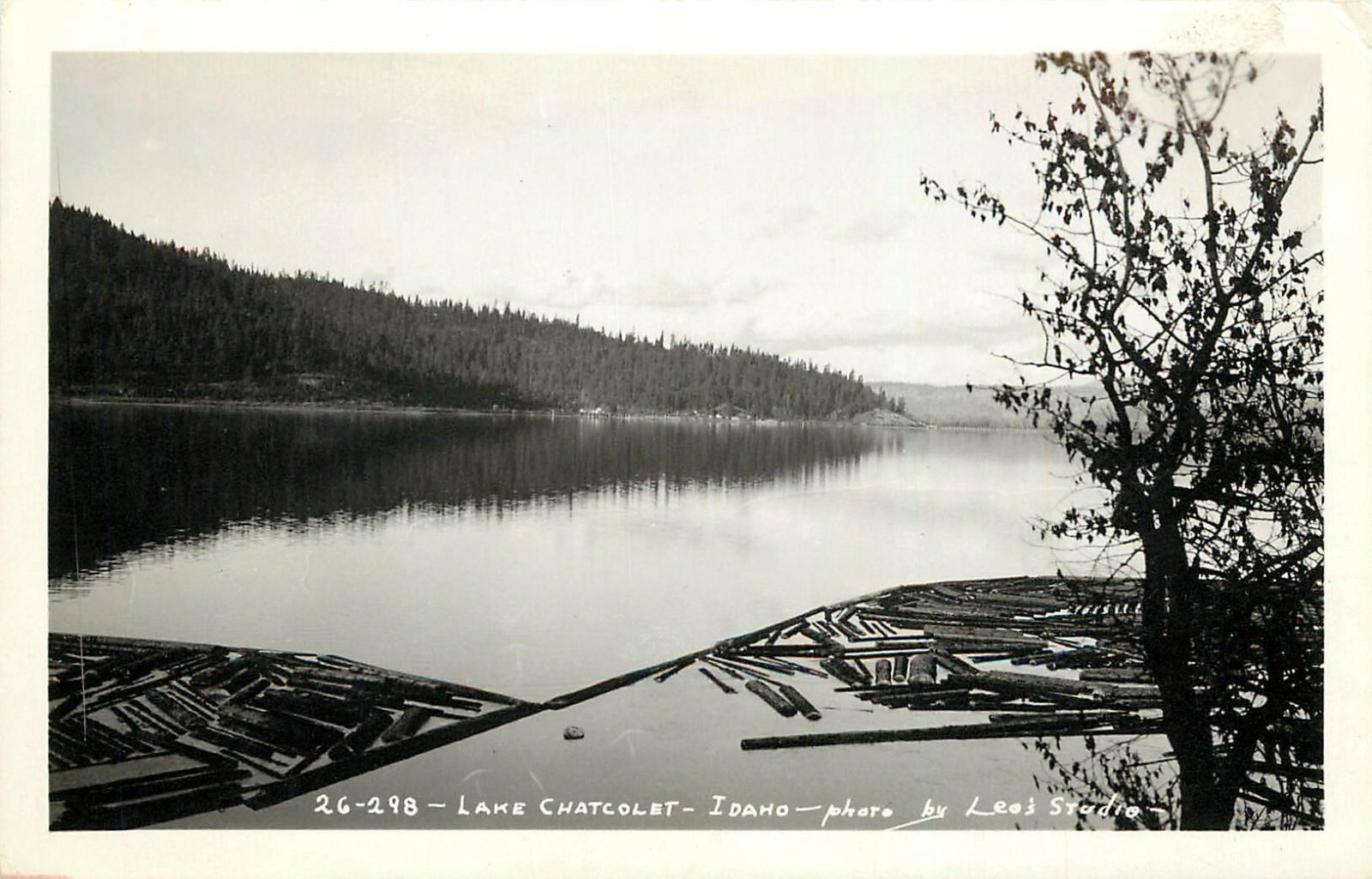 1940s RPPC Floating Timber for Mill, Lake Chatcolet ID Benewah Co. Leo\'s Studio