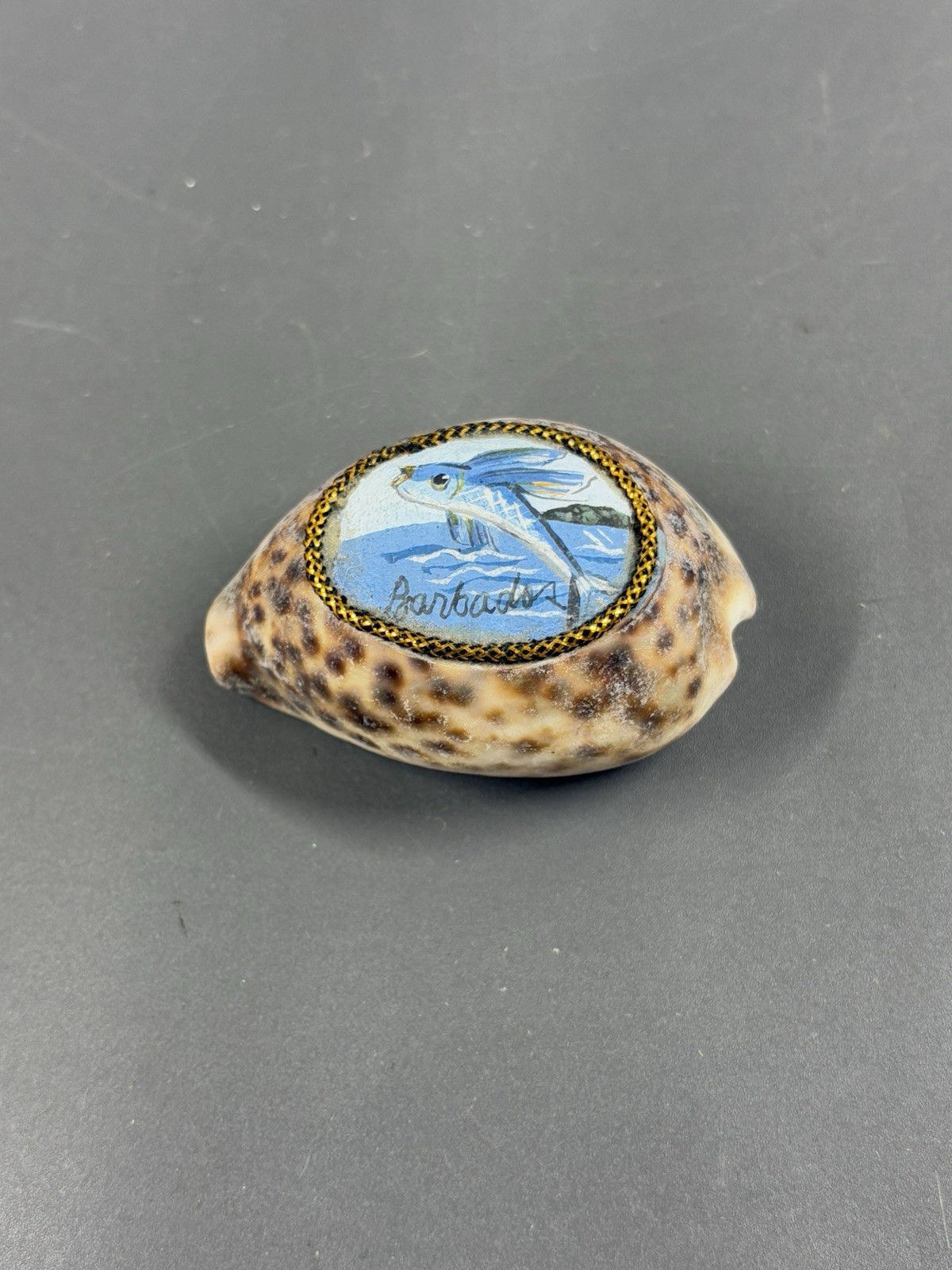 Vintage Barbados Shell Souvenir Painted Fish Mini Shell Figurine 2.7″